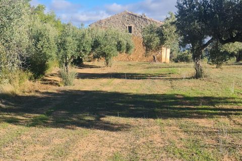 Landejendom i Asco, Tarragona, Asco - € 29.000 | Ref: 1003 Pasco - foto 1